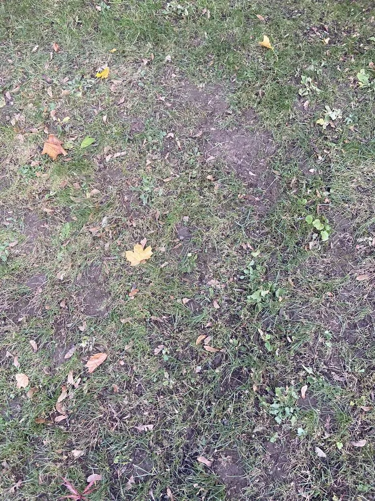 Affordable landscaping services in Canton, MA - Pat Gibbs Landscape Design & Construction