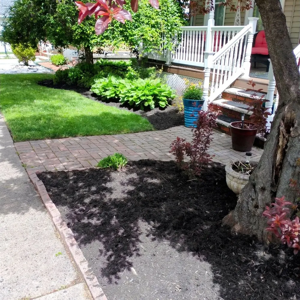 Top-rated yard cleanup service for outdoor upgrades in Garfield, NJ by Pat Landscaping Services