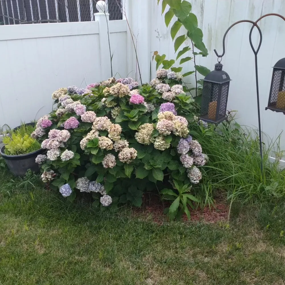 Trusted landscape installation experts serving Garfield, NJ - Pat Landscaping Services