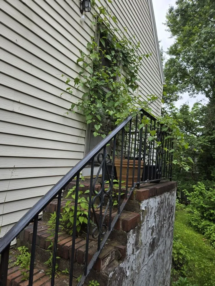 Expert yard cleanup service for year-round maintenance in Garfield, NJ by Pat Landscaping Services