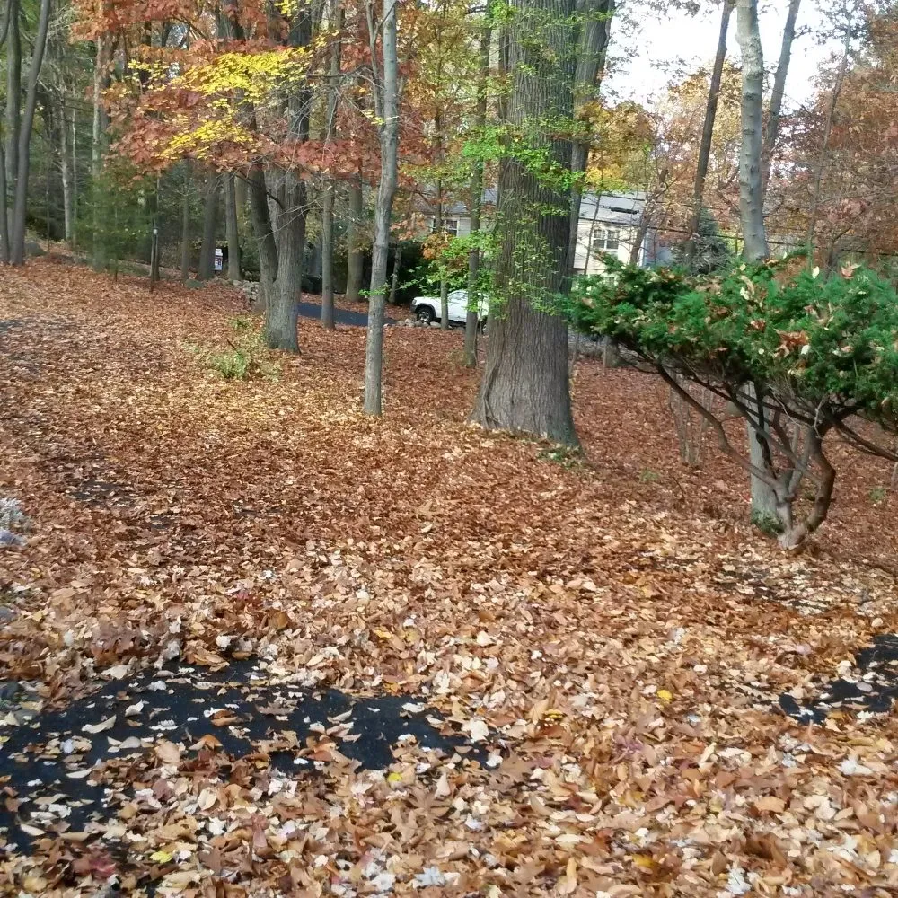 Expert garden landscaping experts serving Garfield, NJ - Pat Landscaping Services