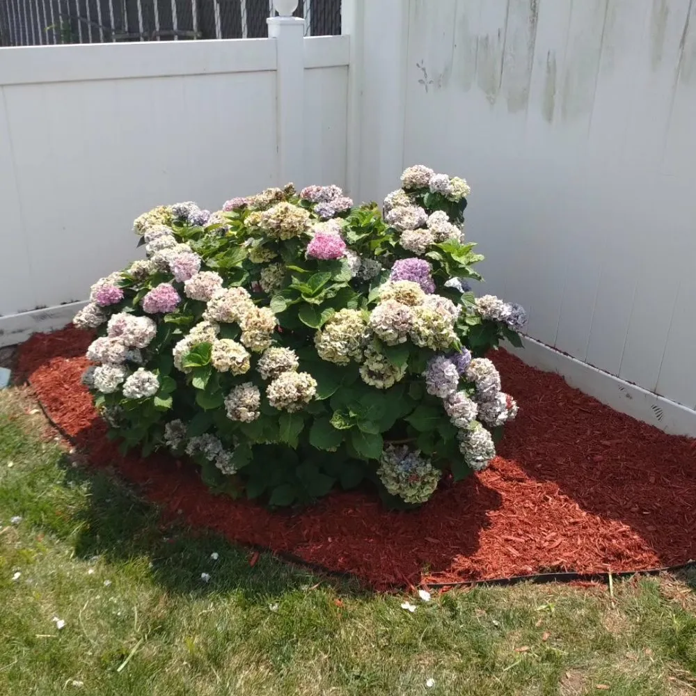 Trusted residential landscaping with custom design across Garfield, NJ - Pat Landscaping Services