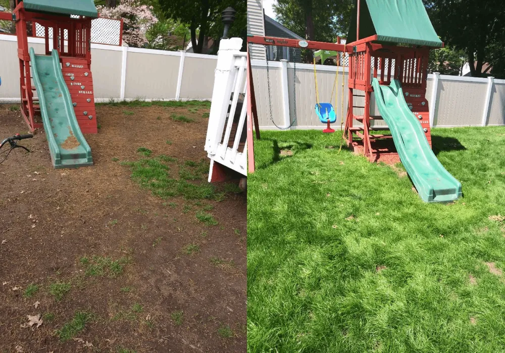 Top-rated garden landscaping in Garfield, NJ - Pat Landscaping Services