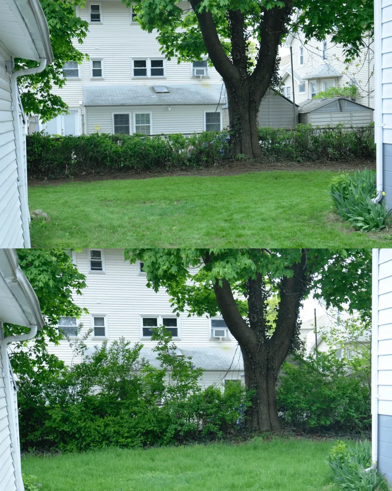 Affordable residential landscaping in Garfield, NJ - Pat Landscaping Services