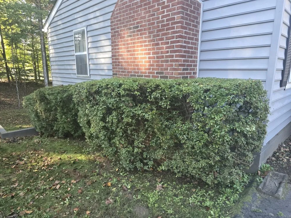 Trusted residential landscaping for beautiful yards across Stanardsville, VA - Pat Murrays Lawn Care