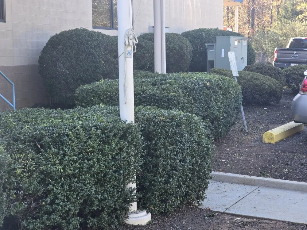 Local landscape design in Stanardsville, VA by Pat Murrays Lawn Care