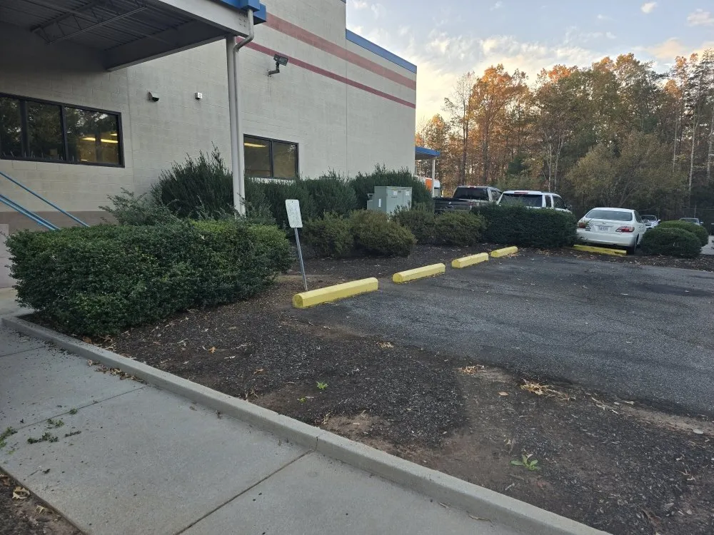Trusted landscaping services in Stanardsville, VA - Pat Murrays Lawn Care