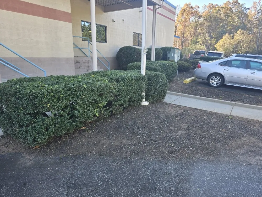 Custom yard cleanup service in Stanardsville, VA by Pat Murrays Lawn Care