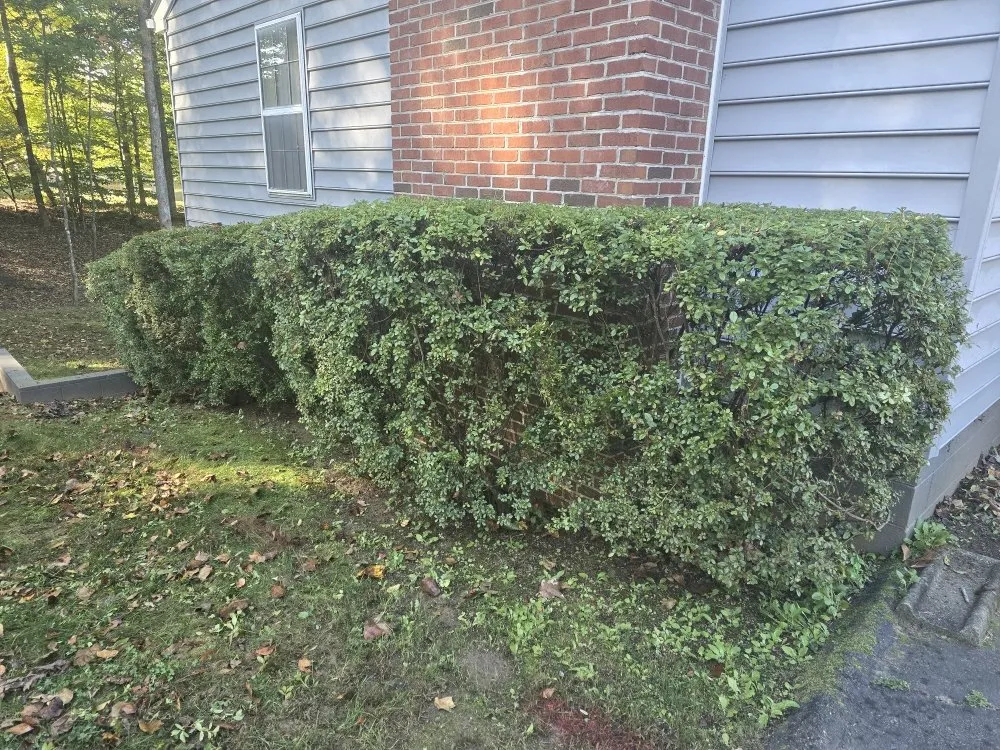 Reliable garden landscaping for homes in Stanardsville, VA by Pat Murrays Lawn Care