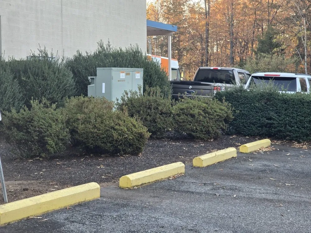 Professional yard cleanup service in Stanardsville, VA by Pat Murrays Lawn Care