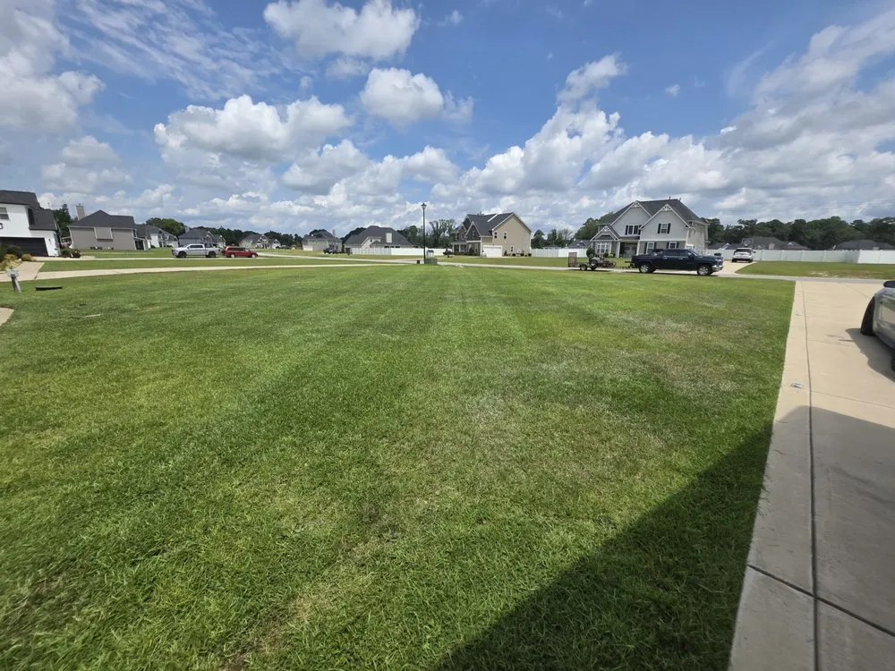 Affordable lawn care service in Stedman, NC - Pat Thomas Property Solutions