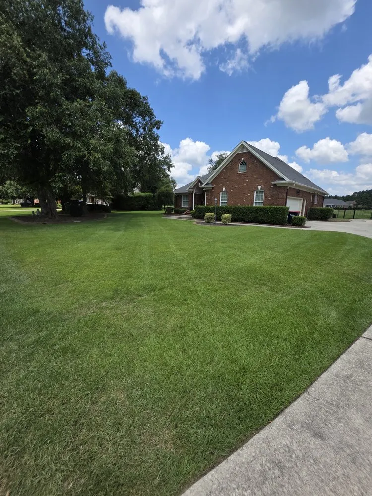 Expert outdoor landscaping in Stedman, NC - Pat Thomas Property Solutions