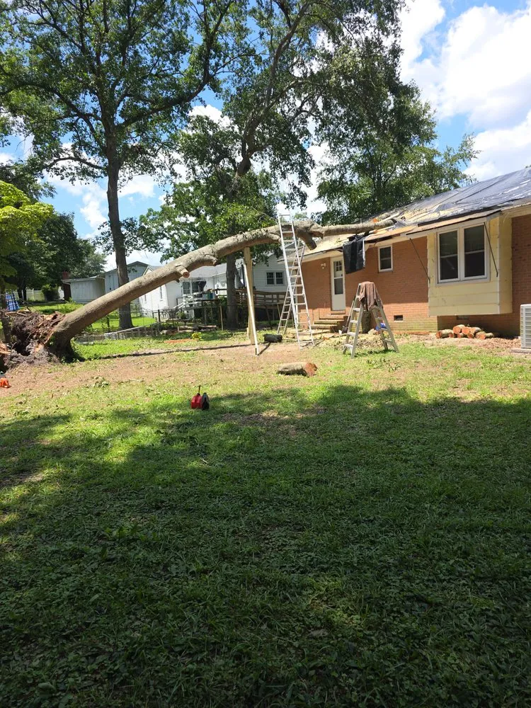 Affordable lawn care service for outdoor upgrades across Stedman, NC - Pat Thomas Property Solutions