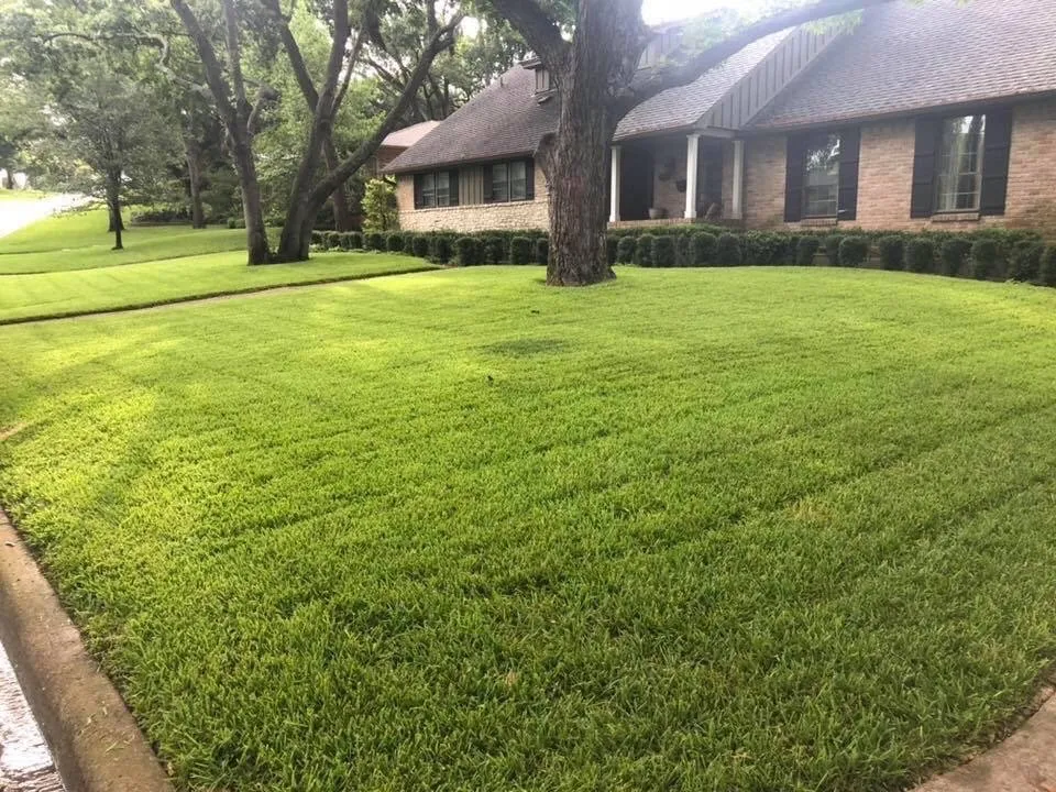 Top-rated garden landscaping in Dallas, TX by Pat Torres Landscaping
