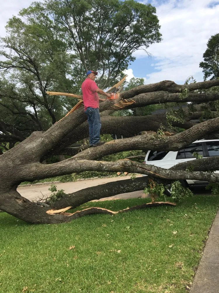 Reliable landscape installation with custom design across Dallas, TX - Pat Torres Landscaping