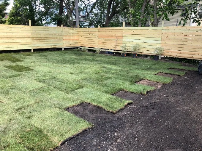 Professional lawn care service for year-round maintenance across Dallas, TX - Pat Torres Landscaping