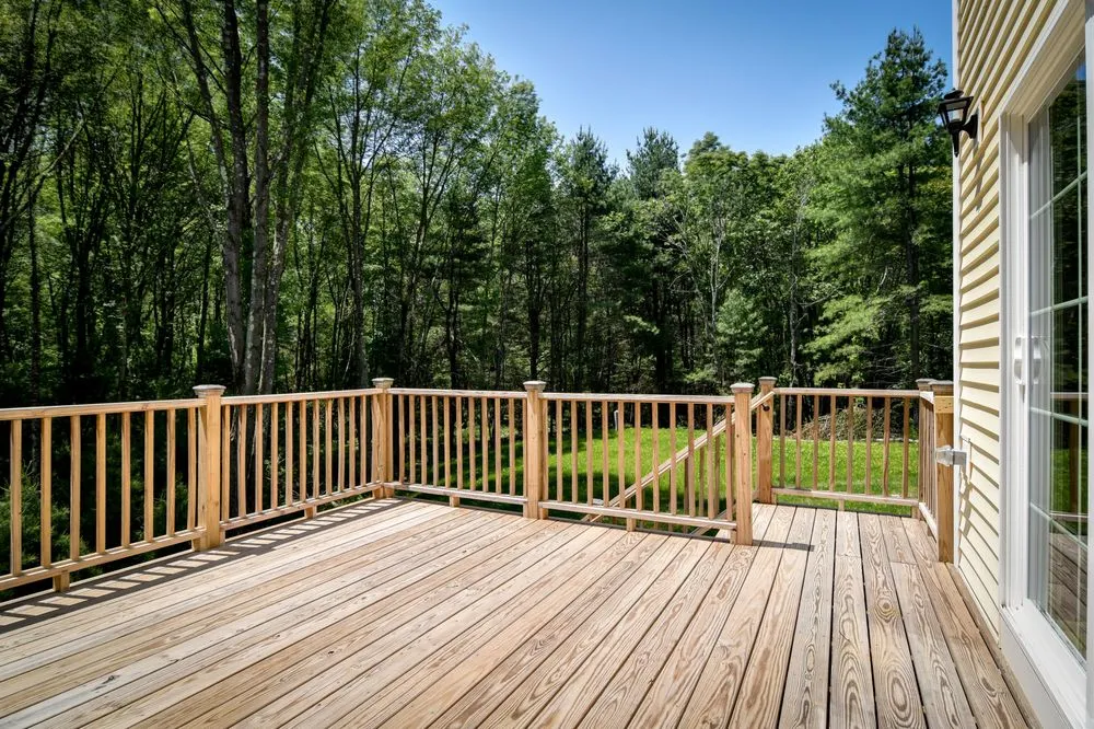 Top-rated yard cleanup service in Framingham, MA by Patagonia Construction