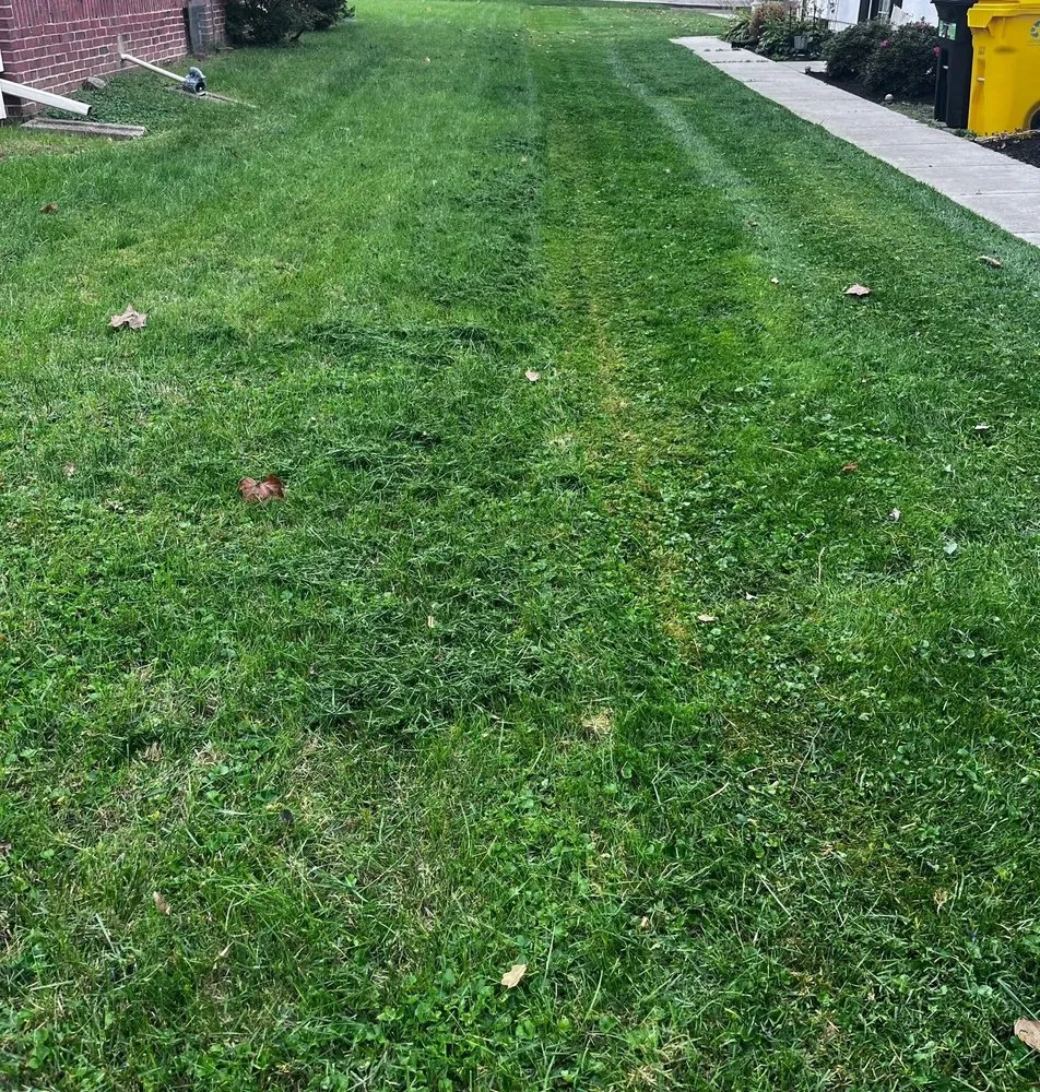 Trusted residential landscaping experts serving Elkridge, MD - Patapsco Valley Lawn & Landscape