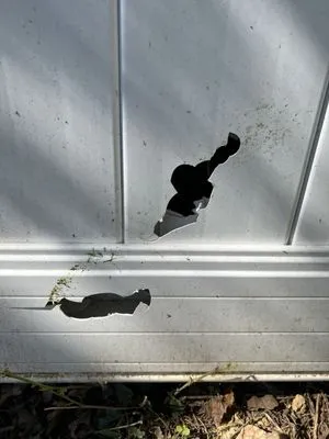 Patapsco Valley Lawn & Landscape Logo