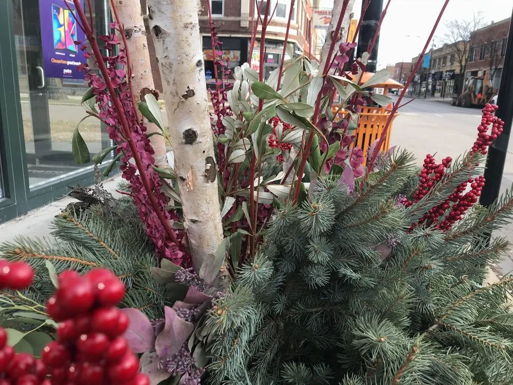 Top-rated yard cleanup service experts serving Chicago, IL - Patch Landscaping & Snow Removal