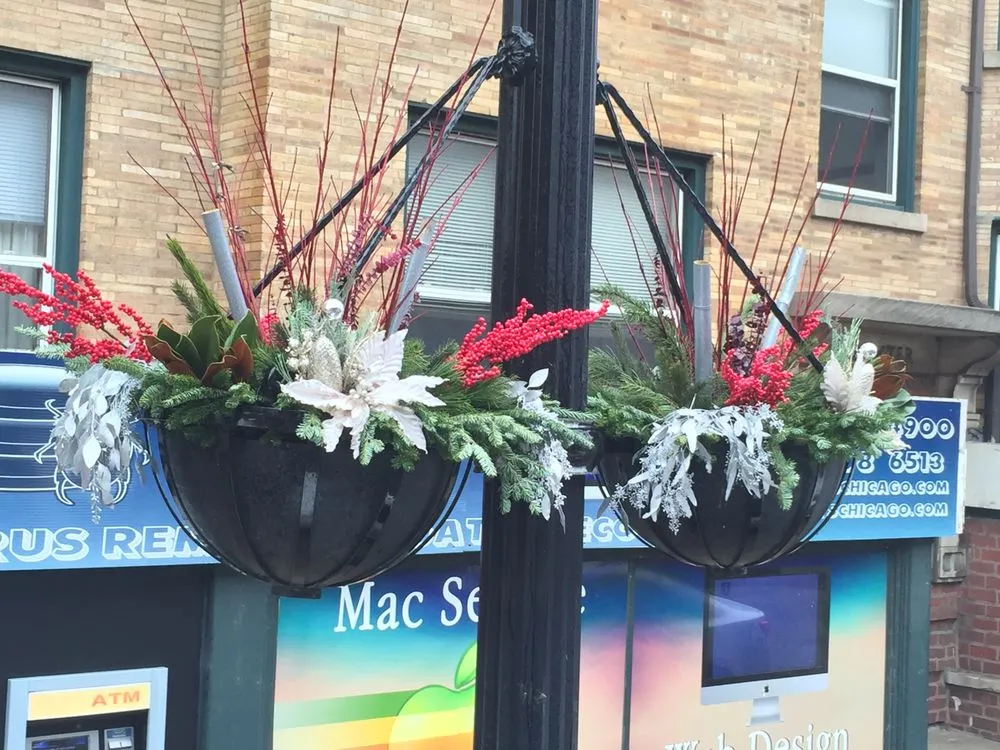 Affordable yard cleanup service near you across Chicago, IL - Patch Landscaping & Snow Removal