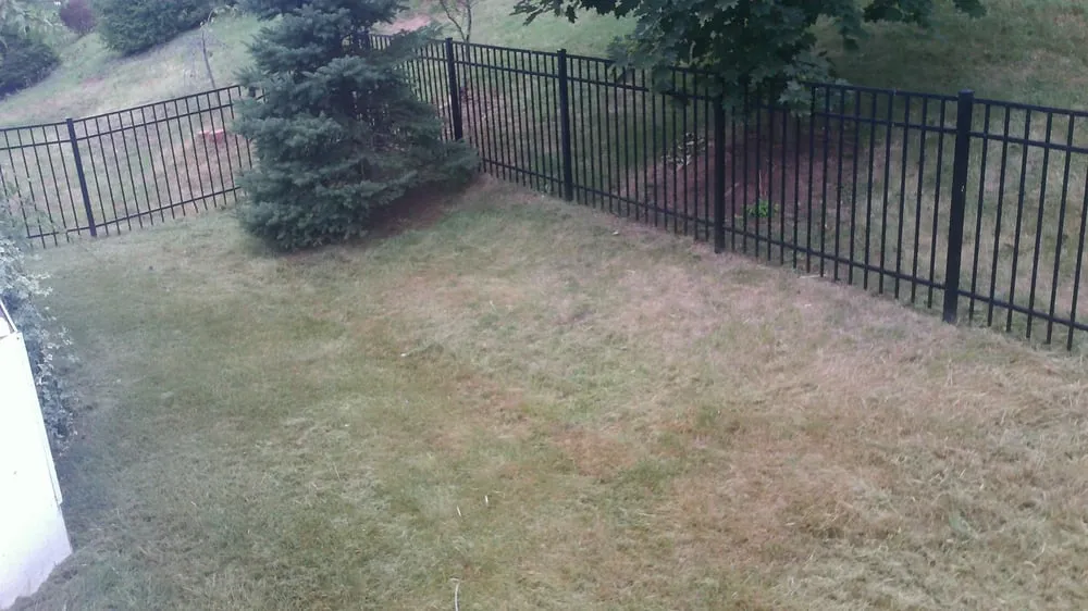 Trusted landscaping services in Bristow, VA - Patch O' Grass