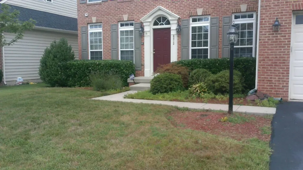 Affordable landscape installation in Bristow, VA by Patch O' Grass