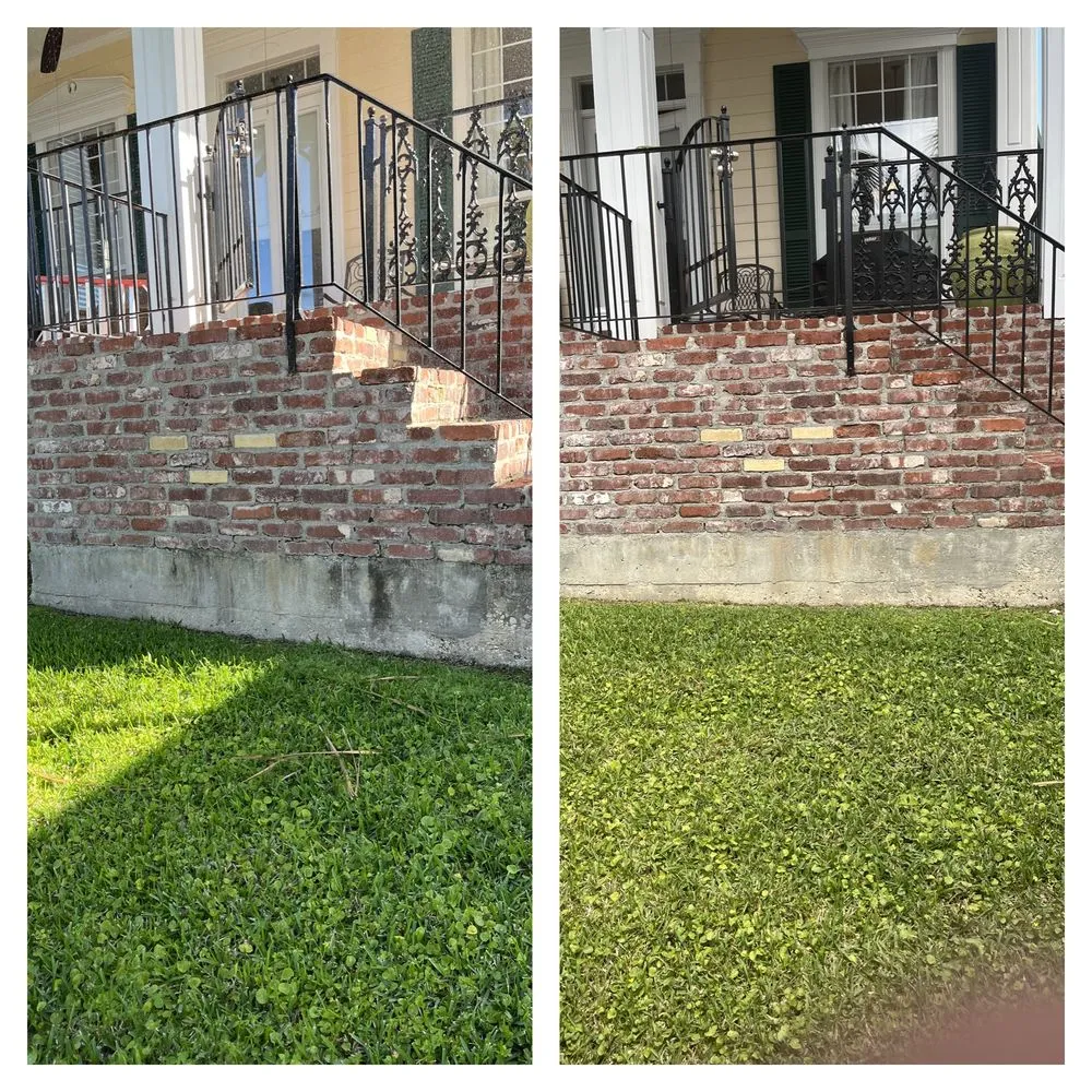 Reliable yard cleanup service for residential properties across Prairieville, LA - Patch Services