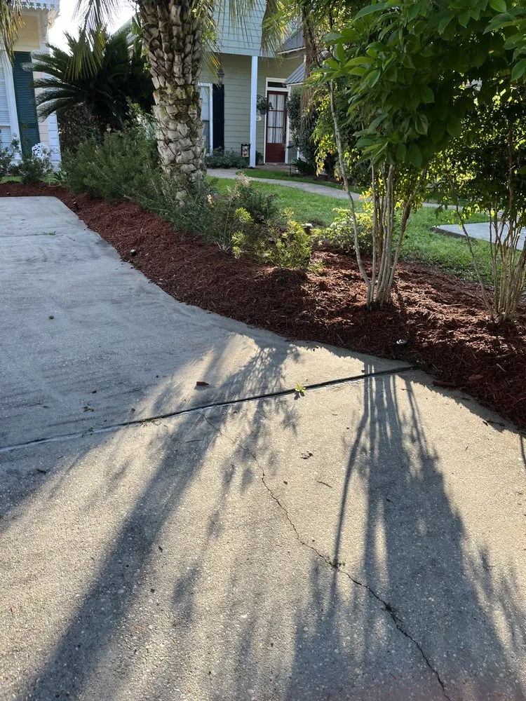 Custom landscaping services near you across Prairieville, LA - Patch Services