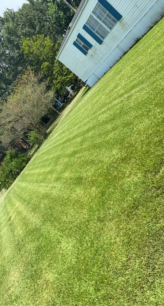 Local residential landscaping for year-round maintenance across Prairieville, LA - Patch Services