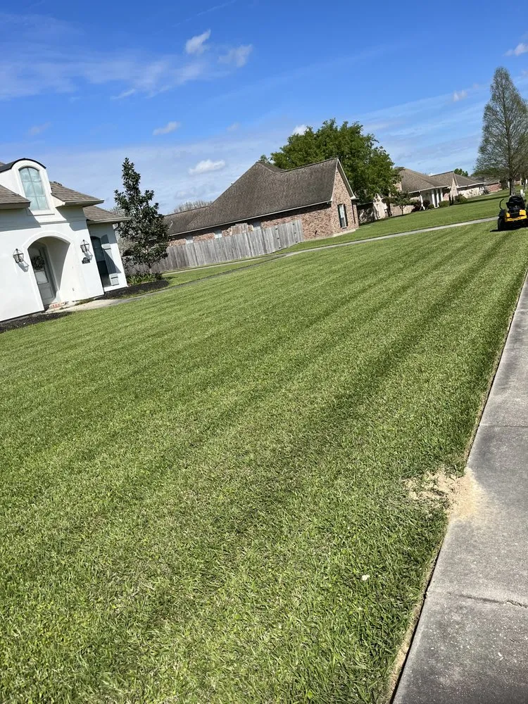 Reliable residential landscaping experts serving Prairieville, LA - Patch Services