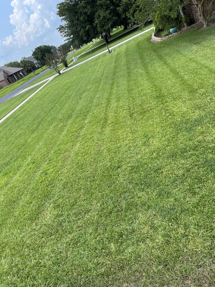 Expert yard cleanup service for homes across Prairieville, LA - Patch Services