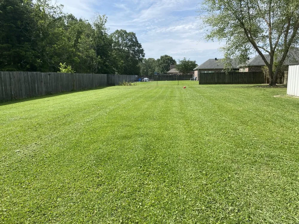 Expert residential landscaping for year-round maintenance in Prairieville, LA by Patch Services