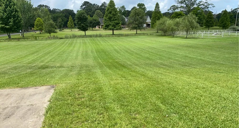 Affordable lawn mowing service for beautiful yards across Prairieville, LA - Patch Services