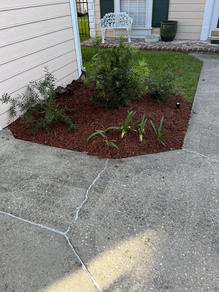 Professional yard maintenance in Prairieville, LA by Patch Services