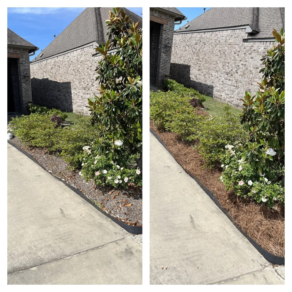 Professional yard cleanup service near you in Prairieville, LA by Patch Services