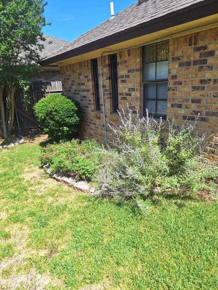 Top-rated lawn care service experts serving Bedford, TX - Patches Landscape