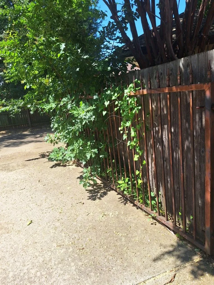 Local outdoor landscaping in Bedford, TX by Patches Landscape