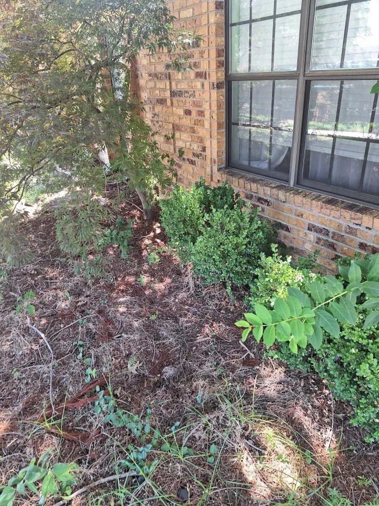 Trusted residential landscaping experts serving Bedford, TX - Patches Landscape