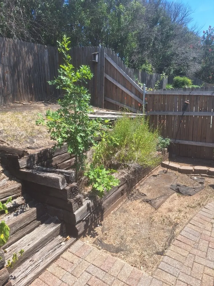 Local residential landscaping for outdoor upgrades in Bedford, TX by Patches Landscape