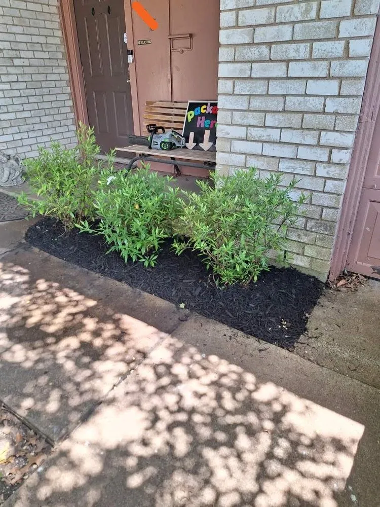 Local lawn care service for outdoor upgrades in Bedford, TX by Patches Landscape