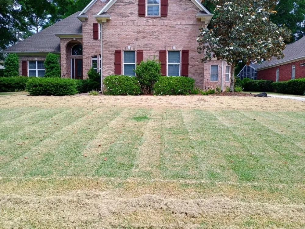 Reliable lawn care service with custom design across Robertsdale, AL - Patches Lawn Care