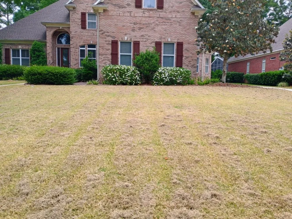 Trusted yard cleanup service in Robertsdale, AL by Patches Lawn Care