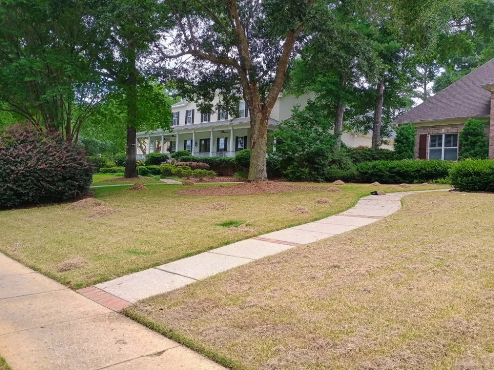 Trusted outdoor landscaping in Robertsdale, AL by Patches Lawn Care