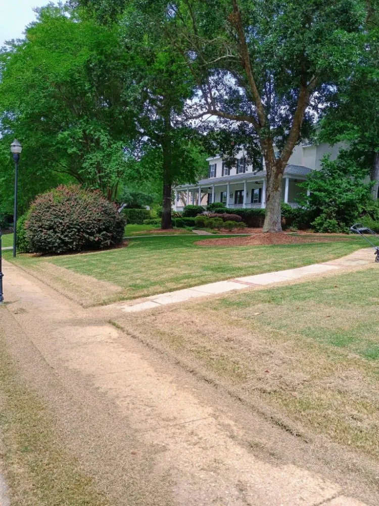 Professional outdoor landscaping for homes in Robertsdale, AL by Patches Lawn Care