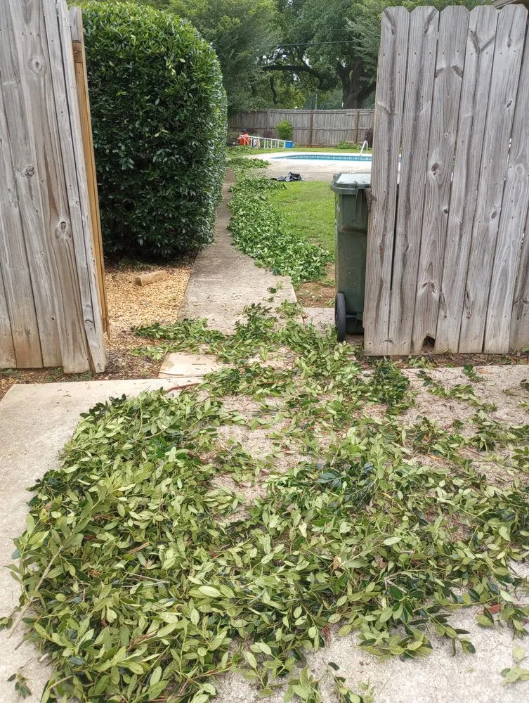 Trusted residential landscaping near you in Robertsdale, AL by Patches Lawn Care