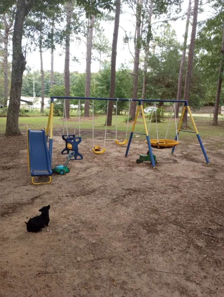 Top-rated lawn care service for beautiful yards in Robertsdale, AL by Patches Lawn Care