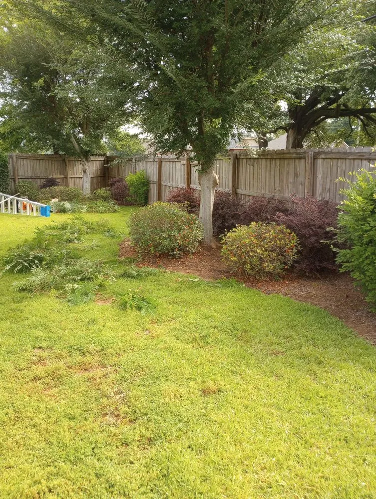Reliable yard cleanup service near you in Robertsdale, AL by Patches Lawn Care