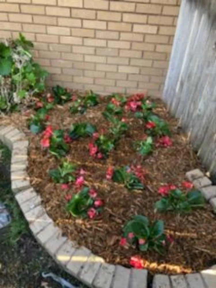 Local lawn care service in Tulsa, OK - Patchin Lawn and Landscaping