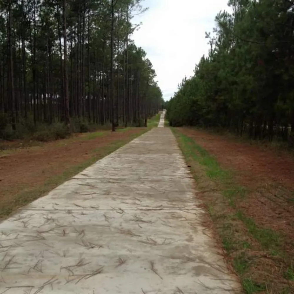 Local lawn care service for homes across SEMMES, AL - Pate Construction Services